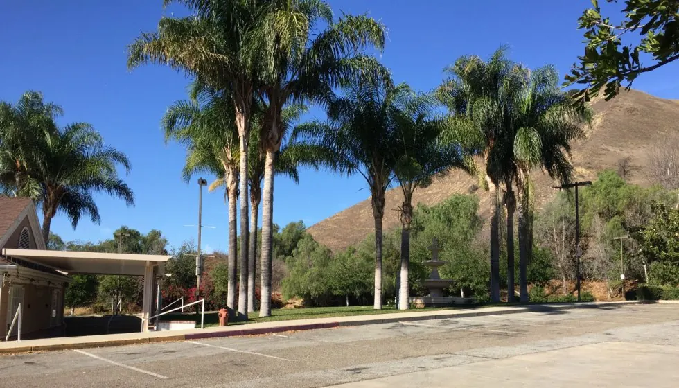 Palm trees and hills at the Brea, California retreat venue