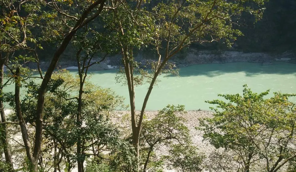Scenery from the retreat in Rishikesh