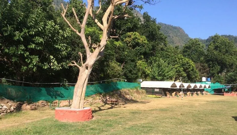 Scenery from the retreat in Rishikesh