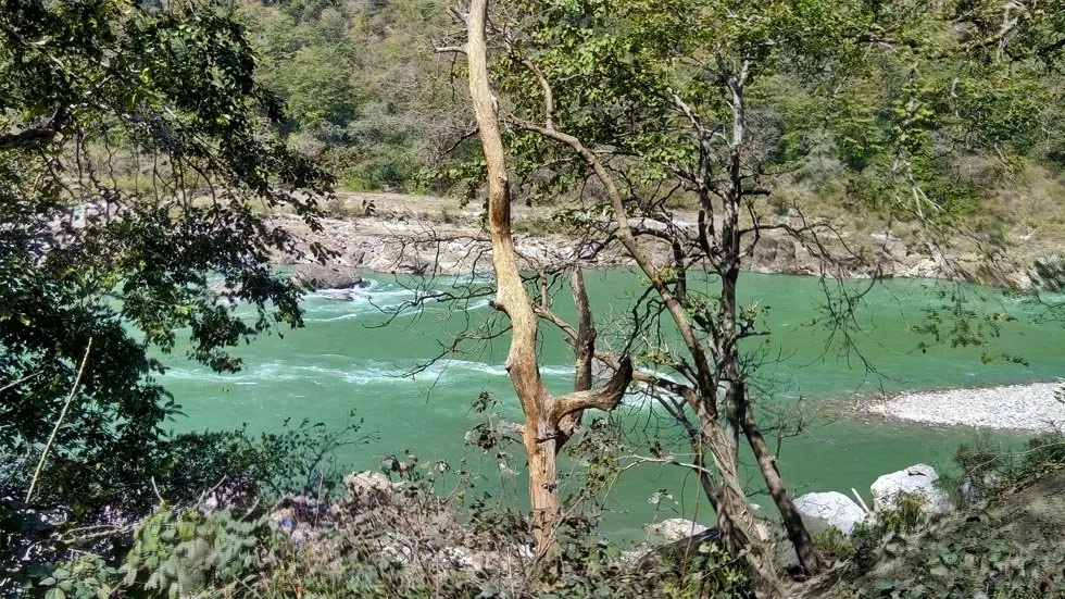 The Ganga river near the retreat site