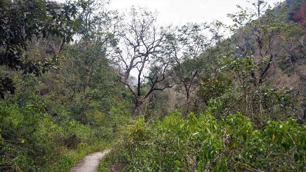 Himalayan mountain scenery near Gular, Rishikesh, Uttarakhand, India