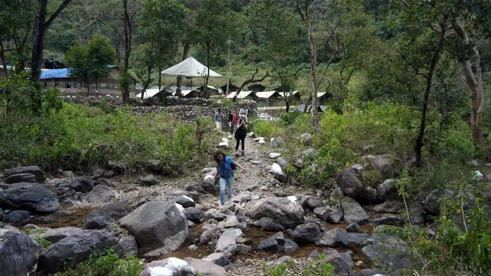 Lodging at Gular, Rishikesh, Uttarakhand, India