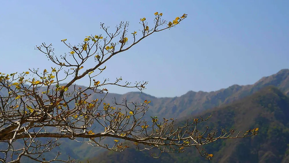 Himalayan mountain scenery near Himalayan Forest Camp, Gular, Uttarakhand, India