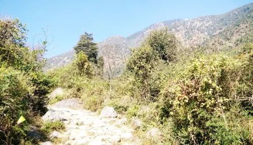 Photograph from the retreat at the retreat site